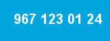 967 123 01 24 967 123 01 24